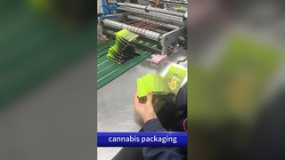 أكياس الخروج المقاومة للأطفال: حقيبة مطبوعة مخصصة B2B ومتوافقة مع براءات الاختراع الأمريكية ومضادة للرائحة