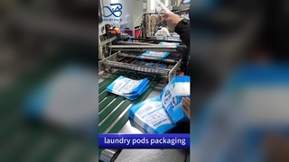 حقيبة كبسولات الغسيل البلاستيكية: أكياس آمنة مطبوعة حسب الطلب B2B مقاومة للأطفال ومضادة للتسرب