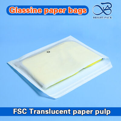 أكياس ملابس زجاجية معاد تدويرها من FSC للملابس والأحذية