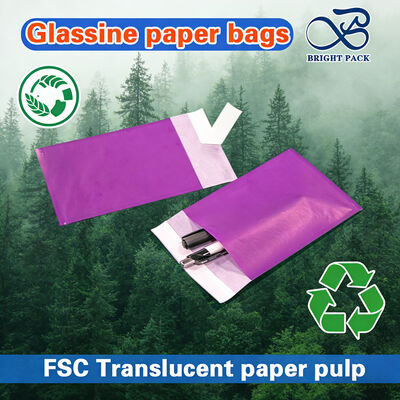 أكياس ورق زجاجية معتمدة من قبل FSC ذات شفافية عالية وأحجام قابلة للتخصيص لتغليف الملابس الفاخرة